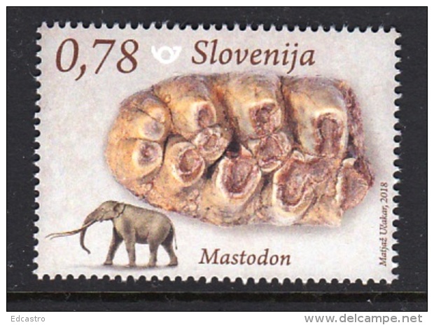 7.- SLOVENIA 2018 Fossil Mammals In Slovenia - Mastodon - Archäologie