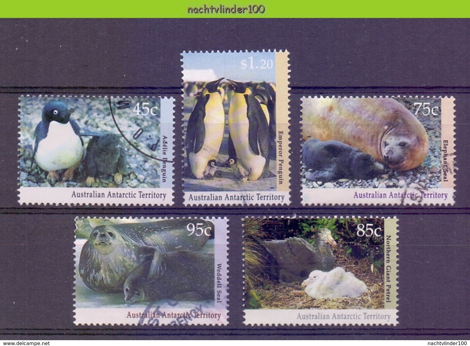 Mwe2613 FAUNA VOGELS PENGUIN ELEPHANT SEAL WEDDELL SEAL BIRDS AVES OISEAUX AUSTRALIAN ANTARCTIC TERRITORY 1992 Gebr/used - Pinguïns & Vetganzen