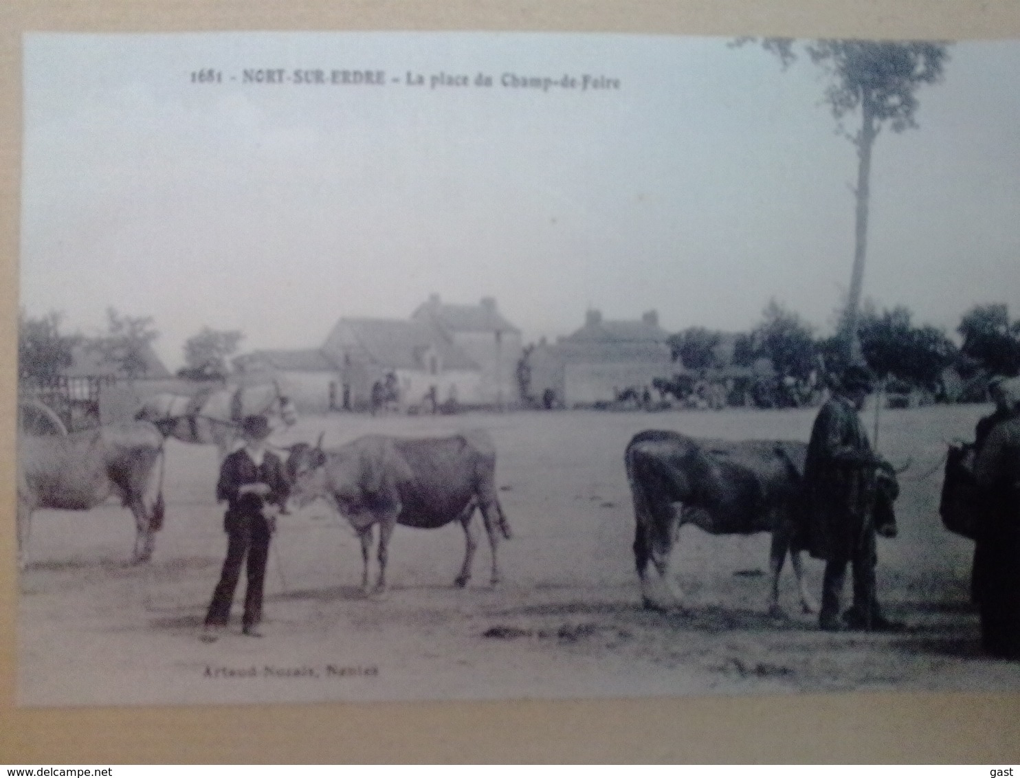 44  NORT  SUR  ERDRE   LA  PLACE  DU  CHAMP  DE  FOIRE - Nort Sur Erdre