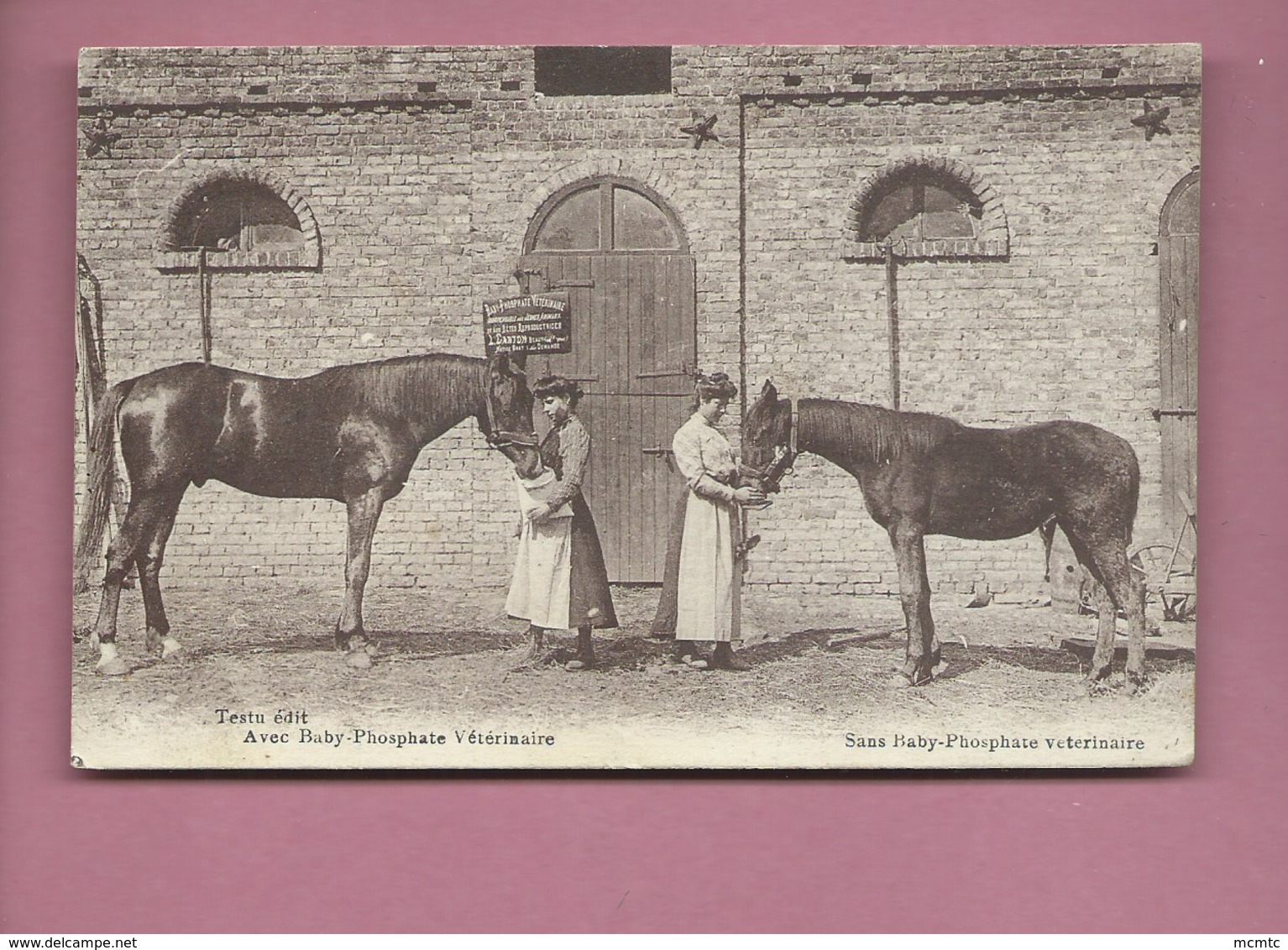 CPA - Beauval  -(Somme) - Avec Baby Phosphate Vétérinaire - Sans Baby Phosphate Vétérinaire- (Cheval , Chevaux ) - Beauval