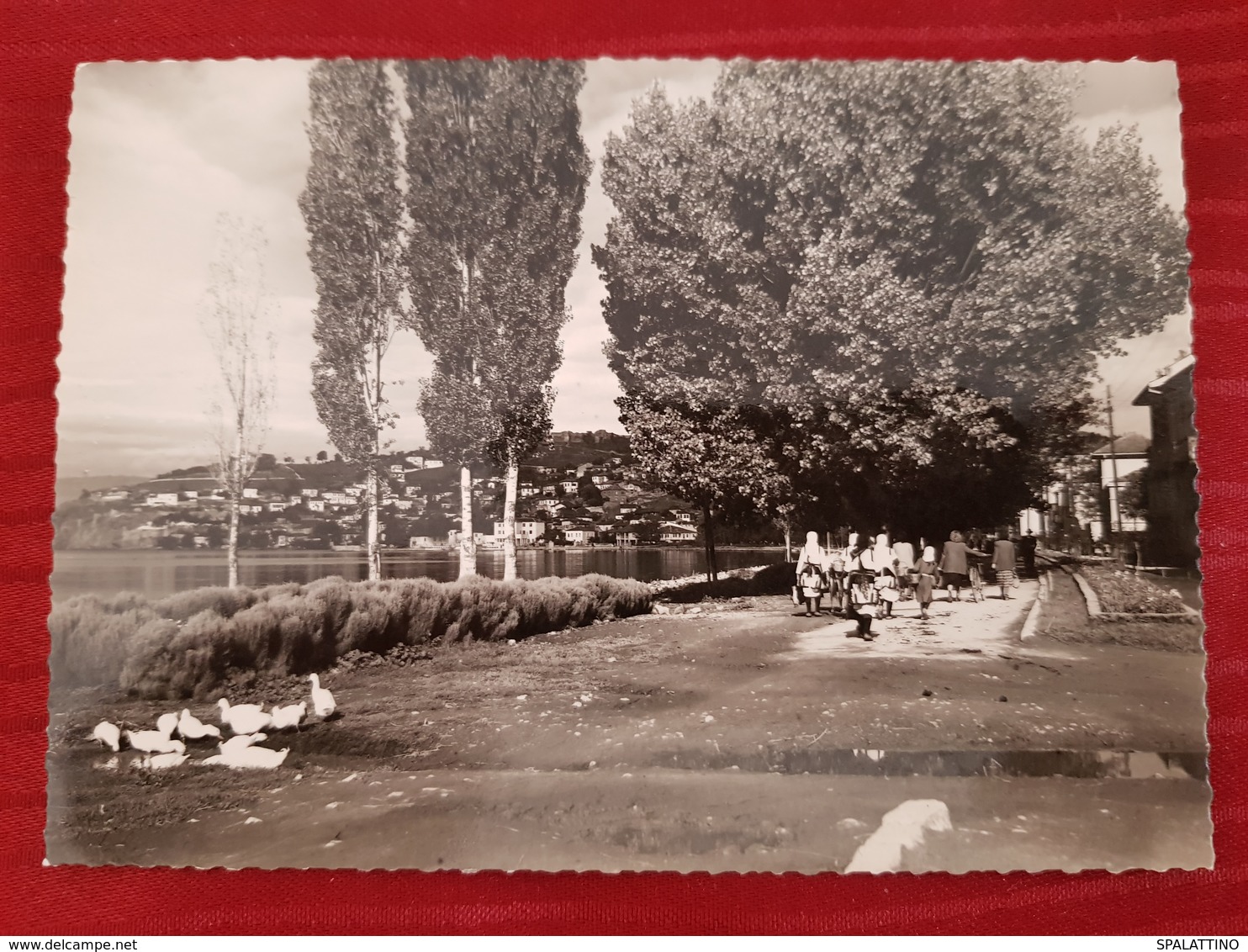 OHRID, MACEDONIA, ORIGINAL VINTAGE POSTCARD - Macédoine Du Nord