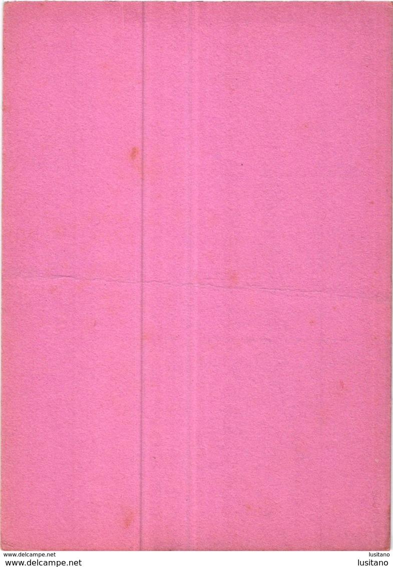 PORTUGAL MATA BORRAO BUVARD BLOTTER  20.8 X 14.7 CMS - 1940 MEDECINE ADVERTISING ( 2 SCANS ) - Farben & Lacke