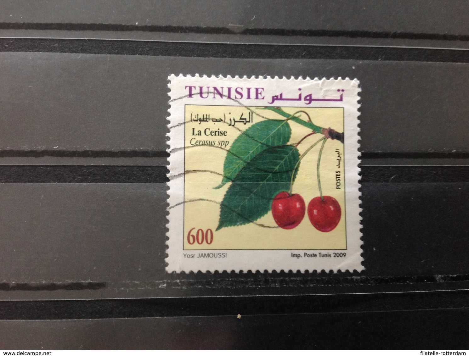 Tunesië / Tunesia - Fruit (600) 2009 - Tunesië (1956-...)