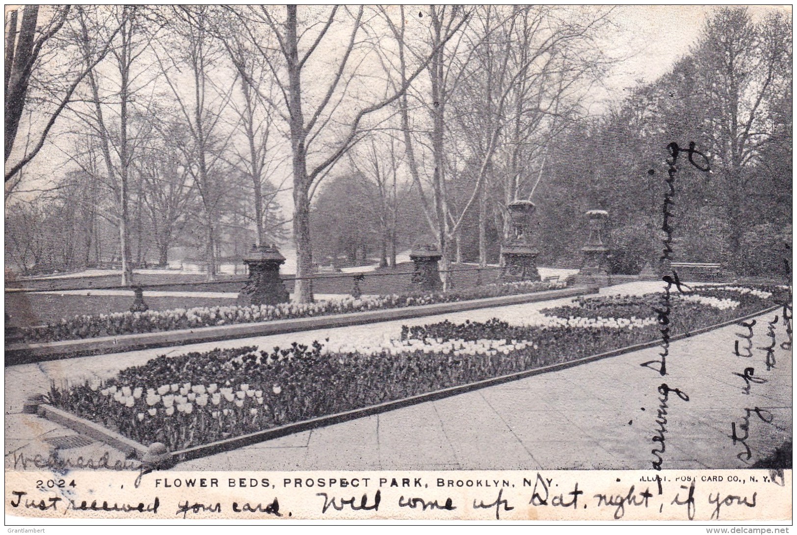 Flower Beds, Prospect Park, Brooklyn, New York, USA Posted 1906 - Brooklyn