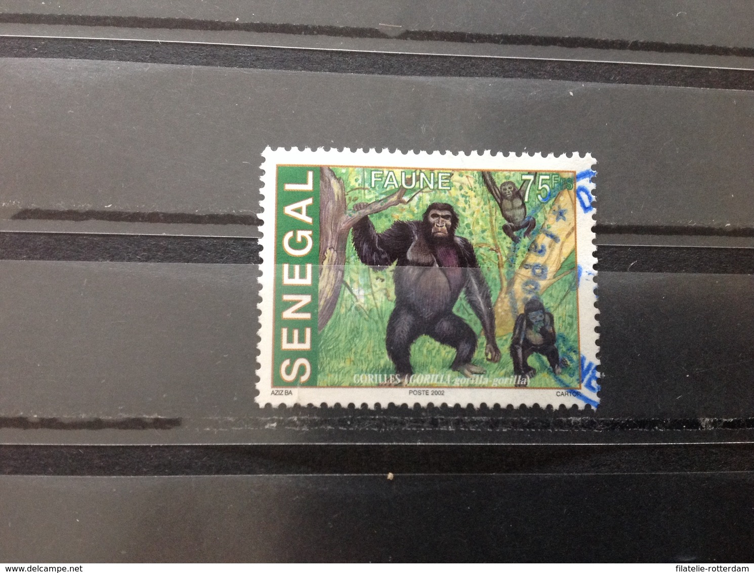 Senegal - Gorilla (75) 2002 - Senegal (1960-...)