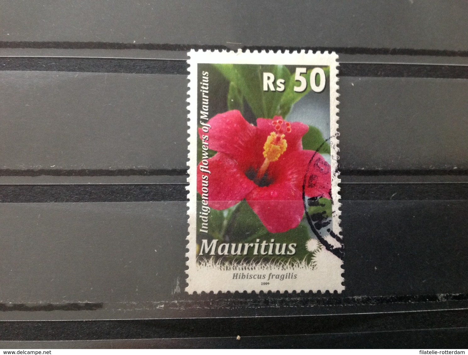 Mauritius - Bloemen (50) 2009 - Mauritius (1968-...)