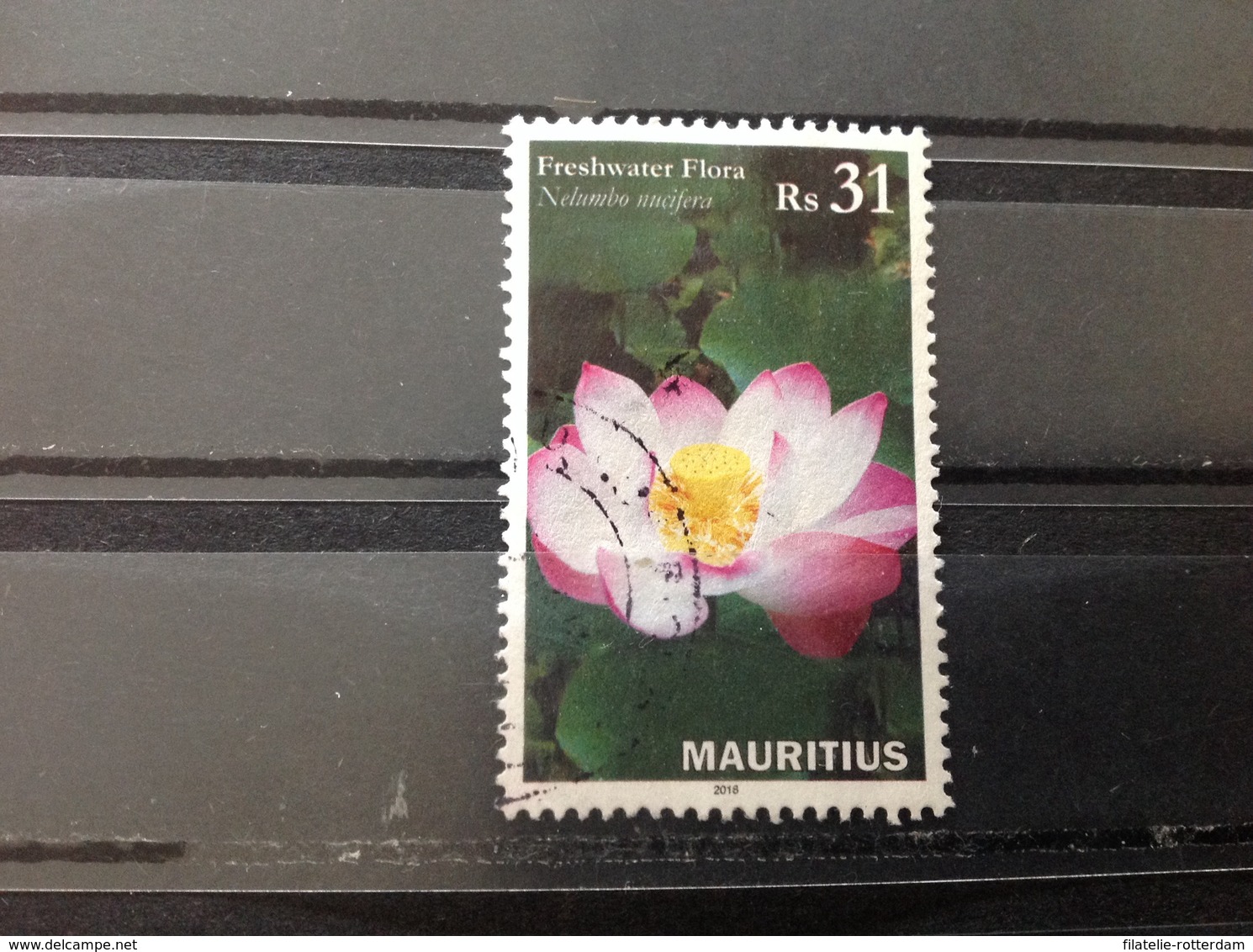 Mauritius - Waterbloemen (31) 2016 - Mauritius (1968-...)