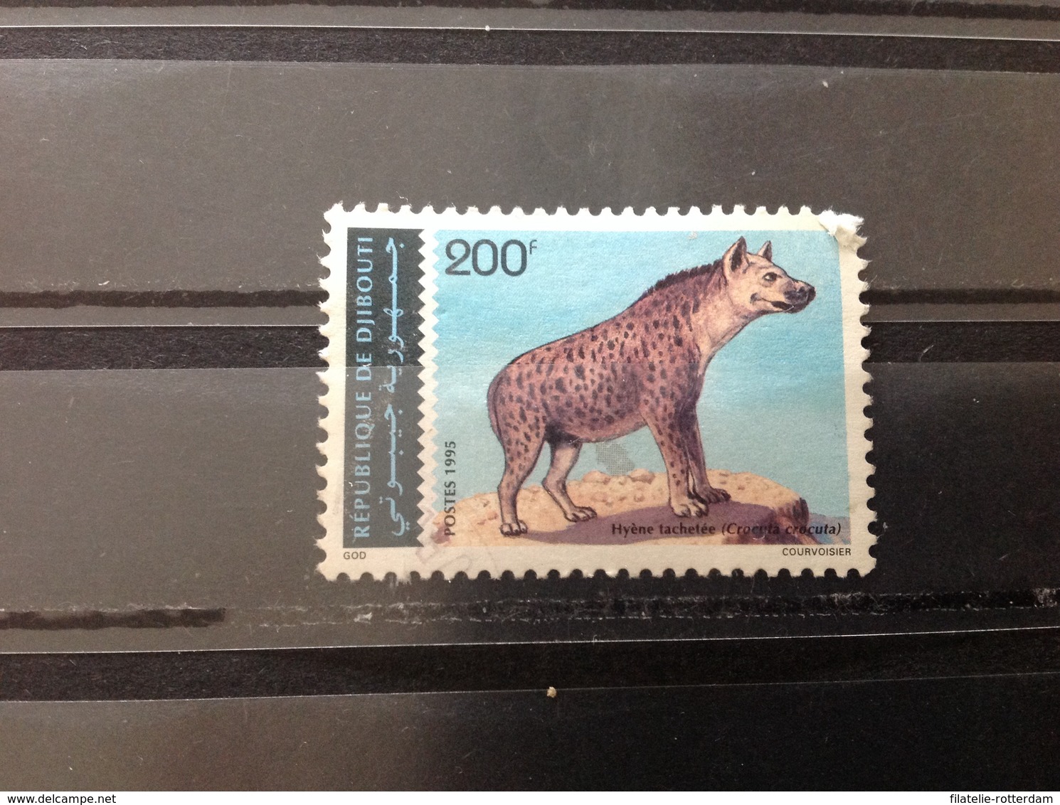 Djibouti - Wilde Dieren, Hyena (200) 1995 - Djibouti (1977-...)