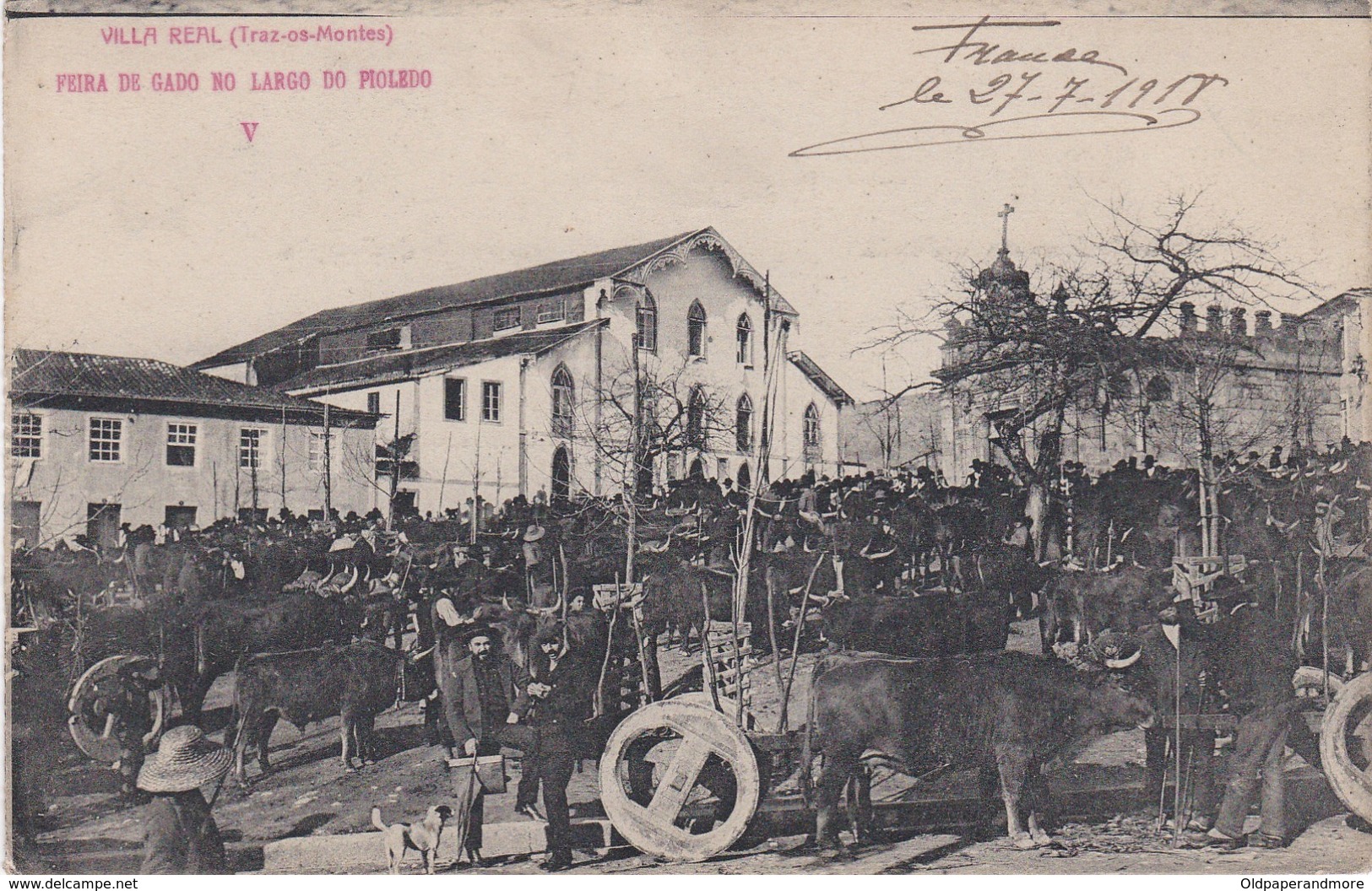 POSTCARD PORTUGAL - VILA REAL - FEIRA DO GADO NO LARGO DO PIOLEDO - CATTLE FAIR - OX OXEN - Vila Real