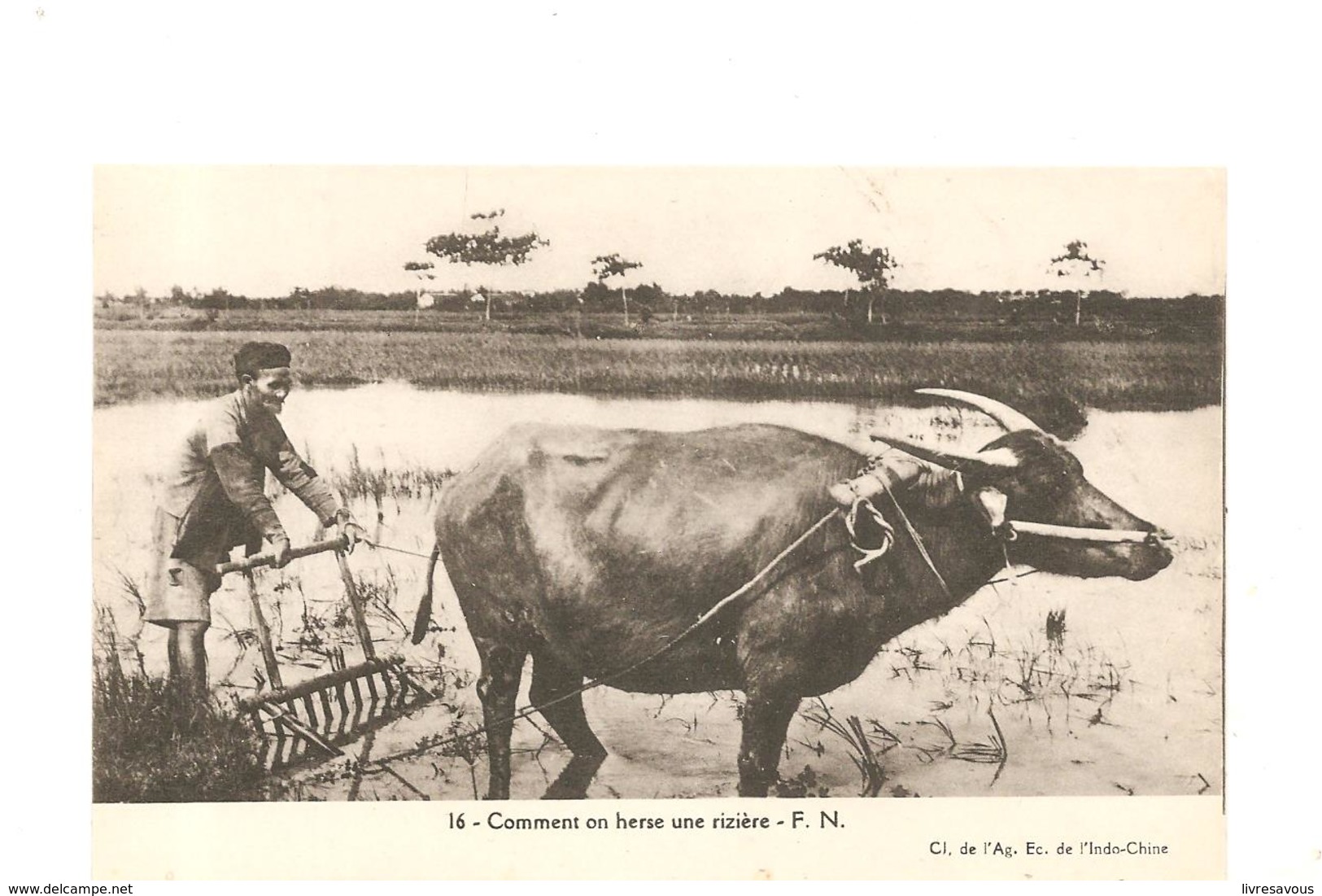 CPA Indochine Comment On Herse En Rizière - Autres & Non Classés