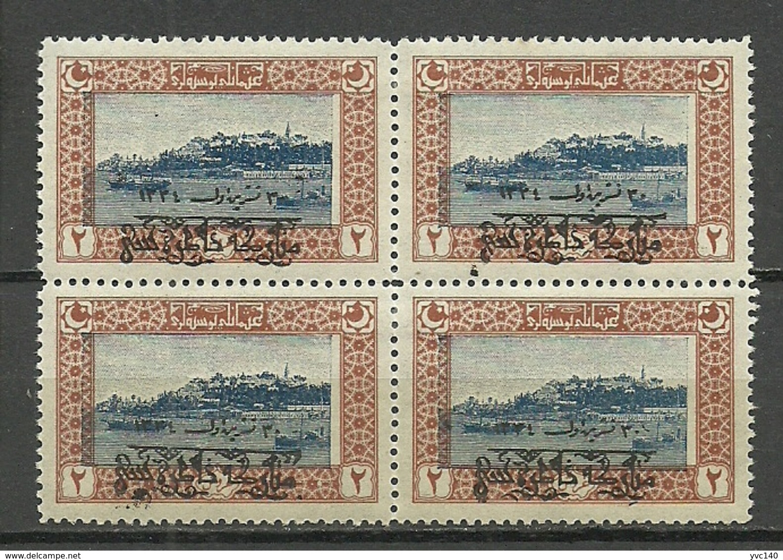 Turkey; 1919 Commemorative Stamp For The Armistice 2 K. ERROR "Inside Blue Print Misplaced" (Signed) - Ungebraucht