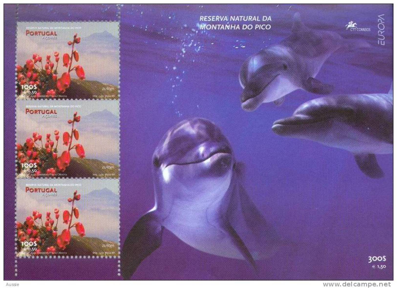 Cept 1999 Açores Azoren Yvertn° Bloc  19 *** MNH - 1999