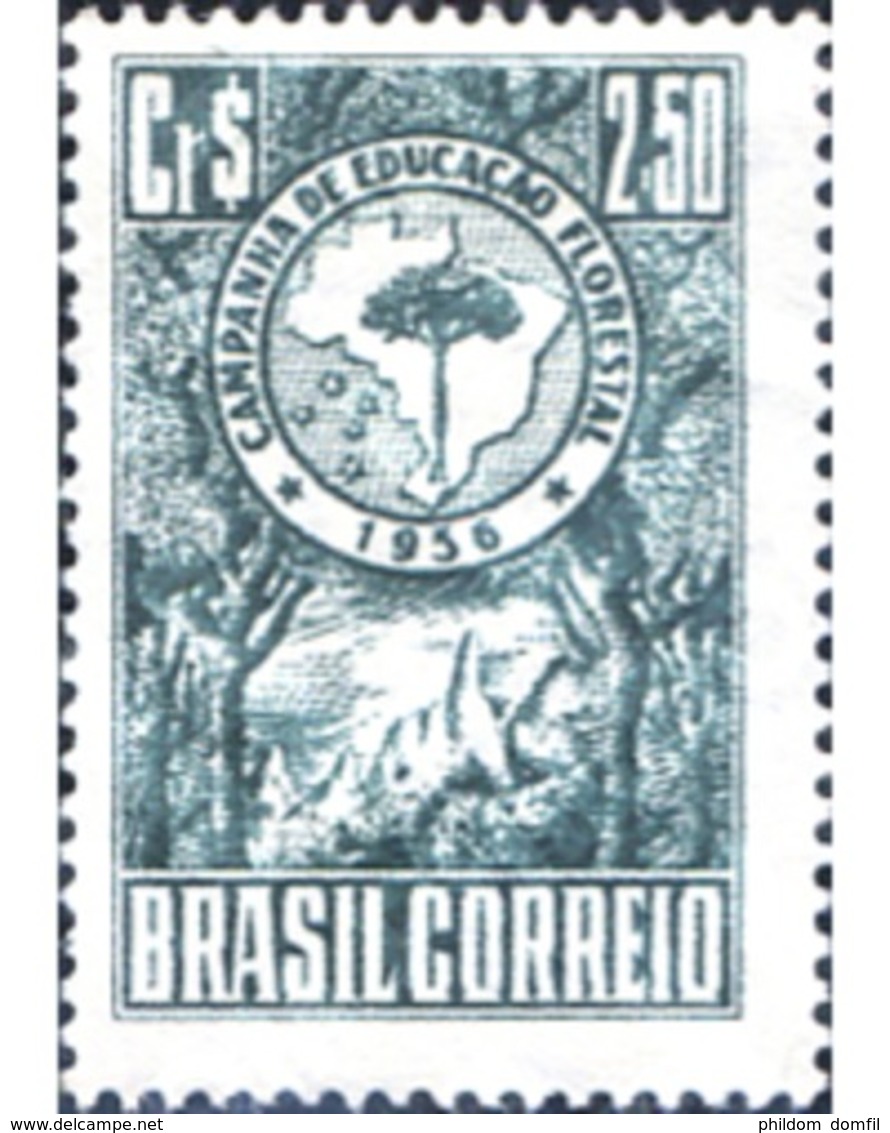 Ref. 168923 * MNH * - BRAZIL. 1956. CAMPAÑA DE EDUCACION FORESTAL - Nuovi