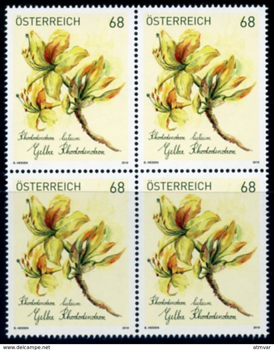 AUSTRIA / ÖSTERREICH (2018) - Gelber Rhododendron (Rhododendron Luteum) - Flora, Flower, Fleur - Block Of 4 - Nuovi