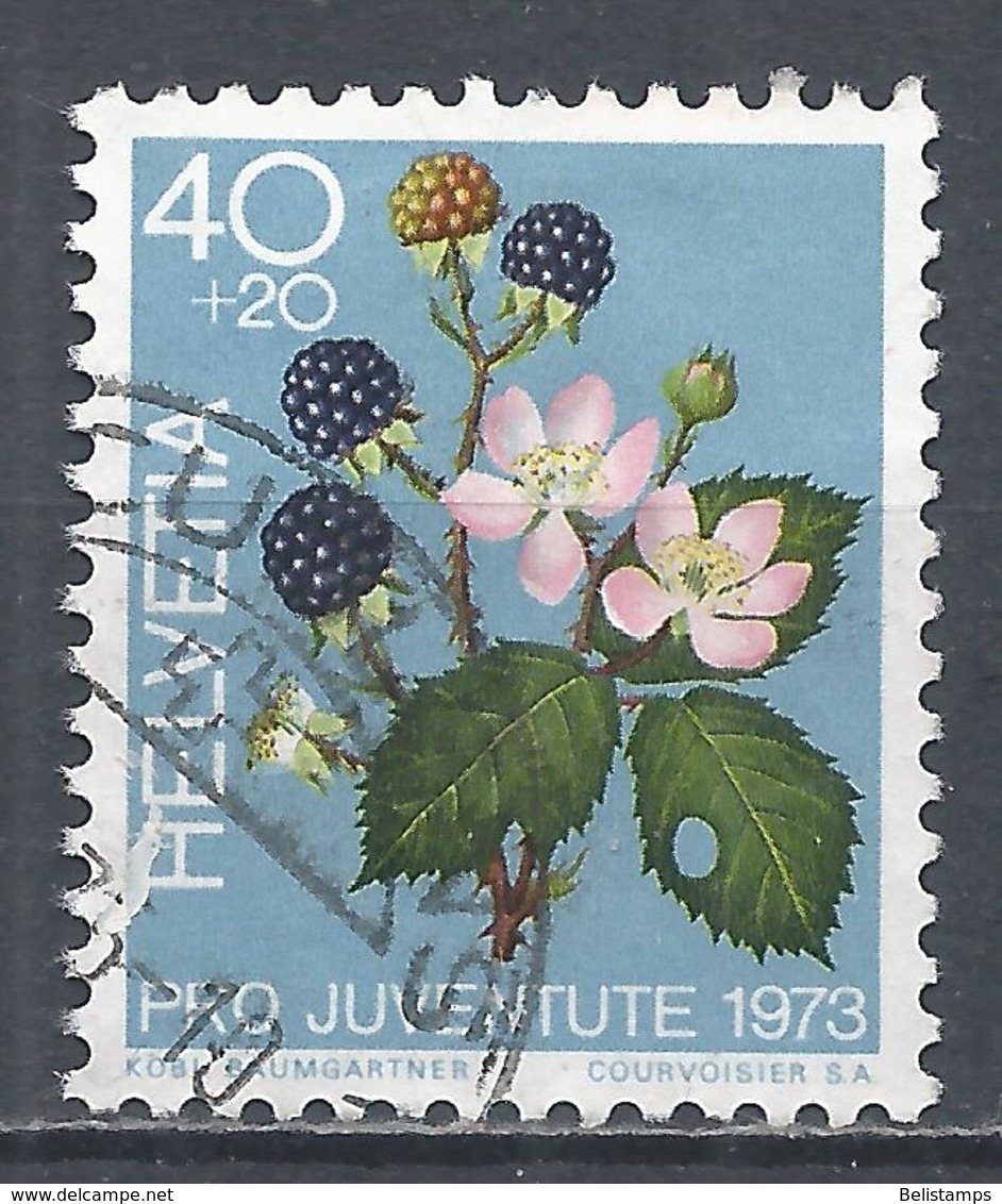 Switzerland 1973. Scott #B420 (U) Fruits, Blackberries * - Oblitérés