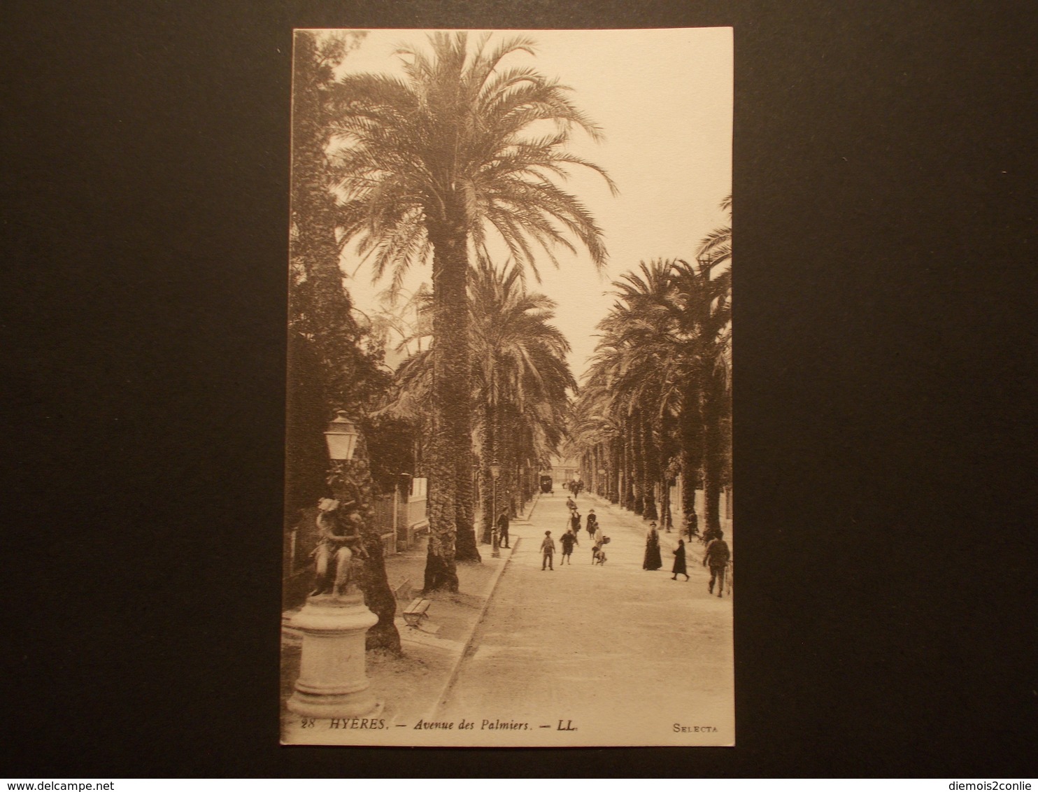 Carte Postale -  HYERES (83) - Avenue Des Palmiers (2290) - Hyeres