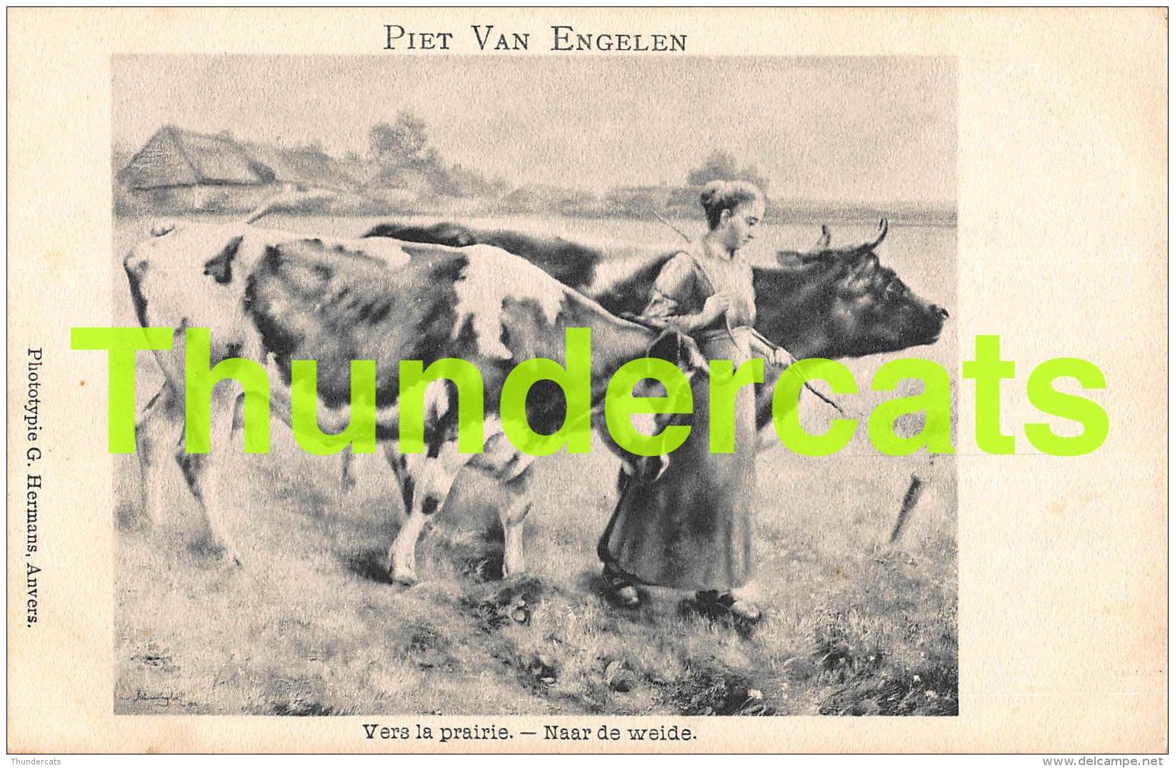 CPA ILLUSTRATEUR PIET VAN ENGELEN ARTIST SIGNED ART VACHE COW - Vaches