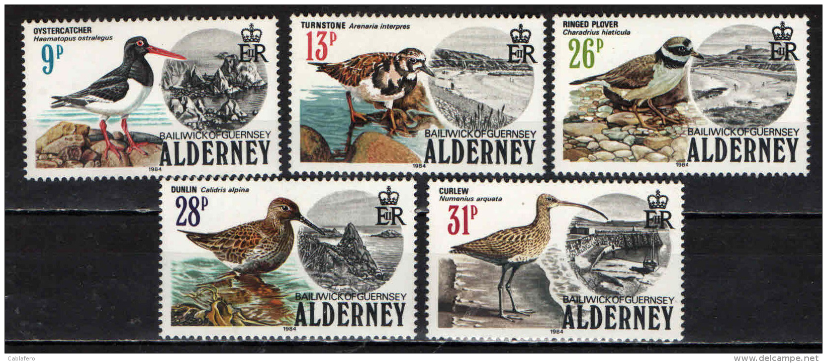 ALDERNEY - 1984 - UCCELLI E BAIE DI ALDERNEY - BIRDS - MNH - Alderney