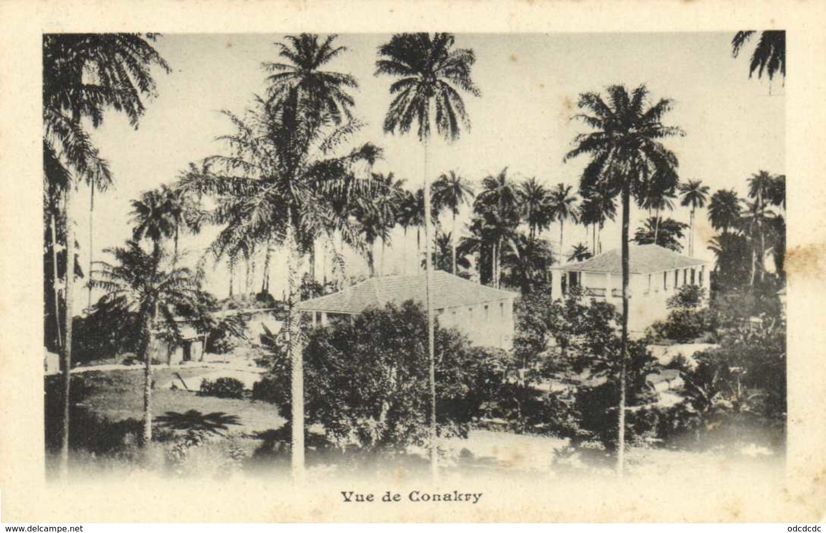 Vue De Conakry Precurseur RV - Guinée