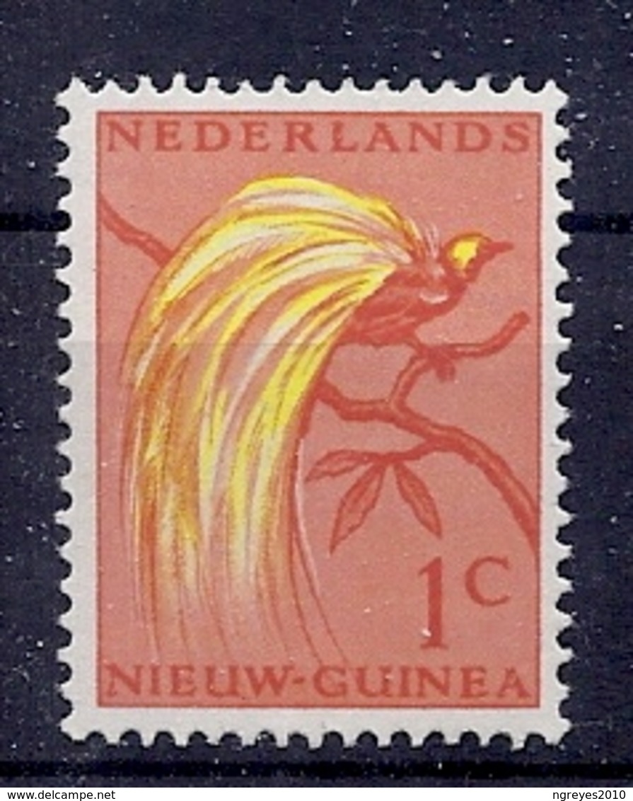 180030208  NUEVA  GUINEA  YVERT  Nº  25  **/MNH - Nueva Guinea Holandesa