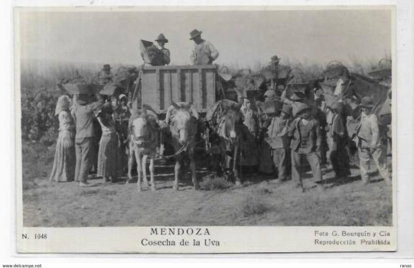 CPA Argentine Argentina Non Circulé Types Carte Photo RPPC - Argentina