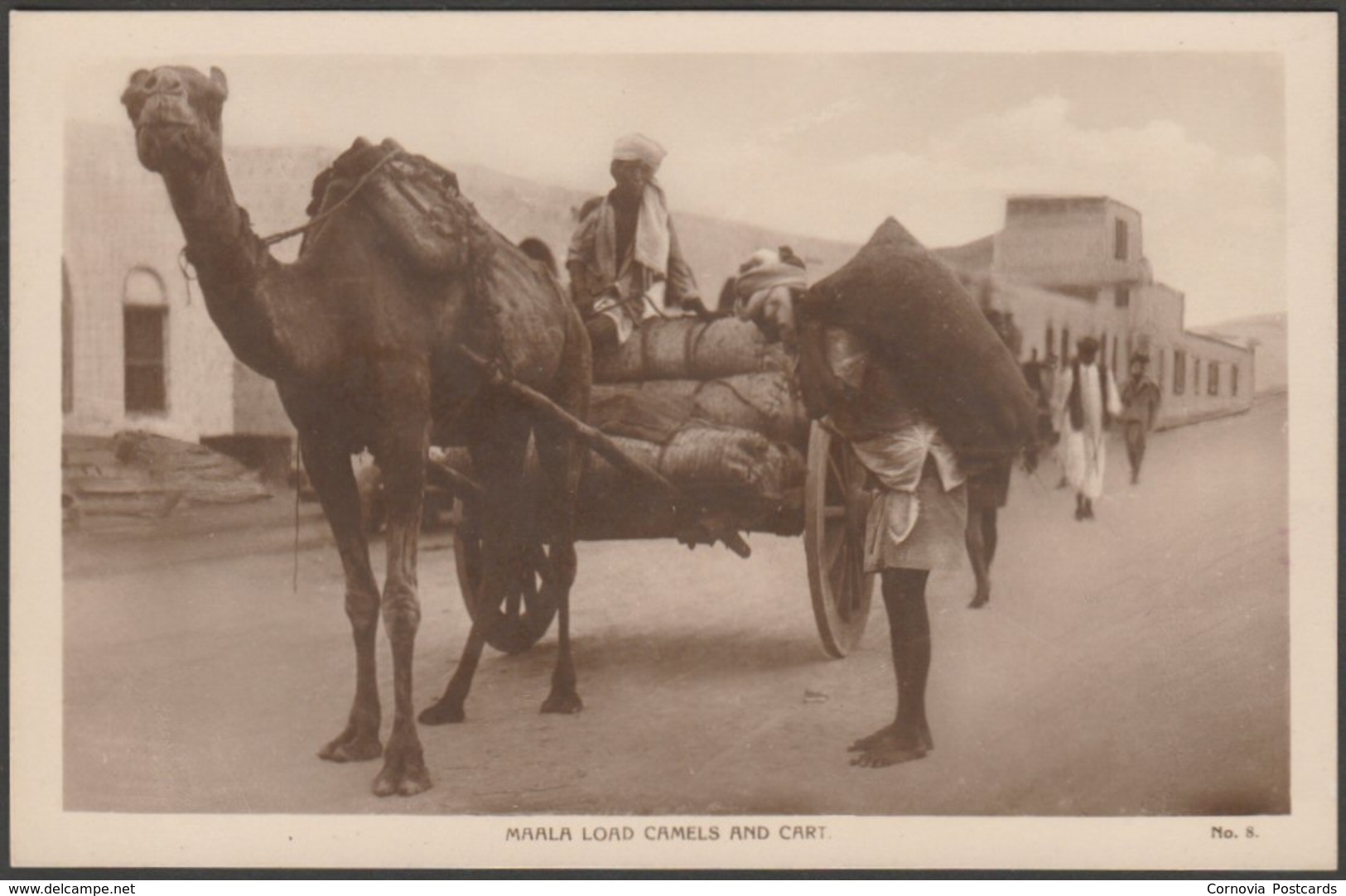 Loading Camels And Cart, Maala, Aden, C.1920 - Lehem RP Postcard - Yemen