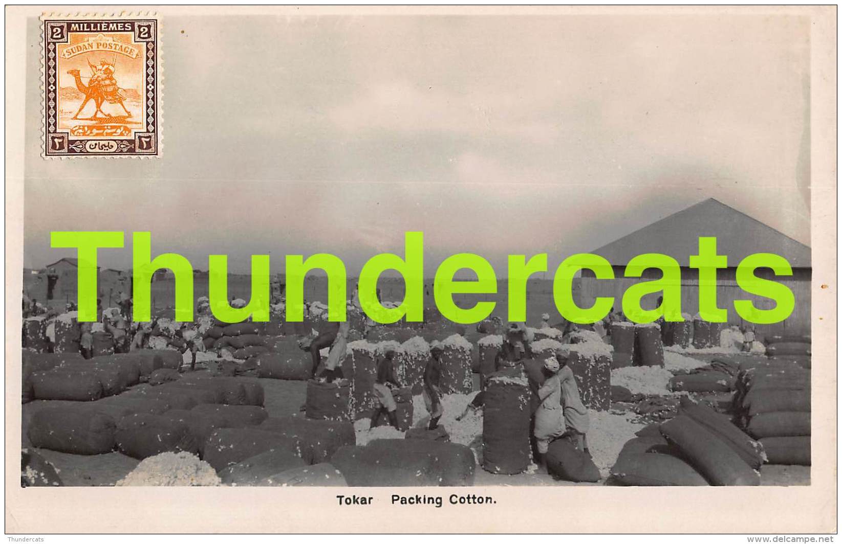 CPA SUDAN CARTE DE PHOTO RPPC REAL PHOTO POSTCARD PORT  SUDAN TOKAR PACKING COTTON - Soudan