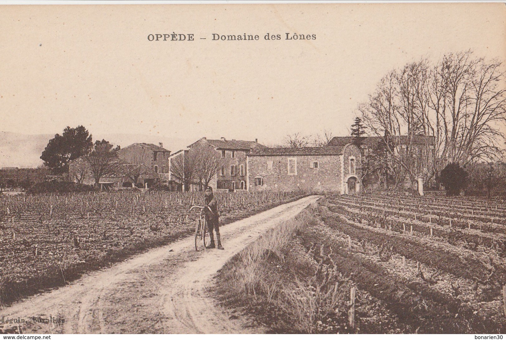 CPA 84   OPPEDE DOMAINE DES LONES - Oppede Le Vieux