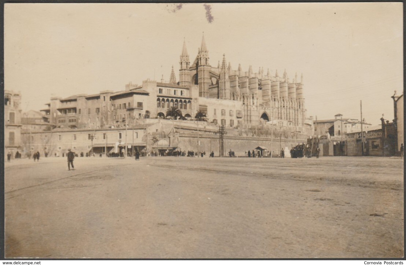 Catedral Y Palacio Real De La Almudaina, Palma, Mallorca, C.1910s - Foto Tarjeta Postal - Palma De Mallorca