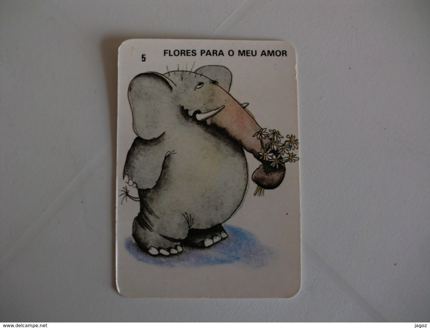 Elephant Elefante Portugal  Portuguese Pocket Calendar 1992 - Small : 1991-00