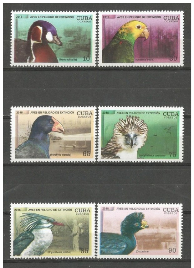 Cuba 2018 Birds In Death Dangerous 6v + S/S MNH - Marine Web-footed Birds