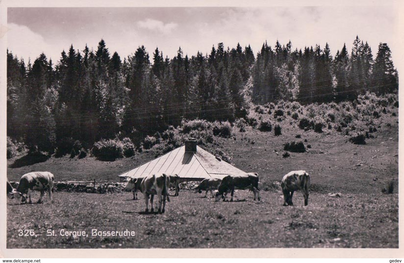 St Cergue, Chalet Basseruche Et Troupeau (326) - Saint-Cergue