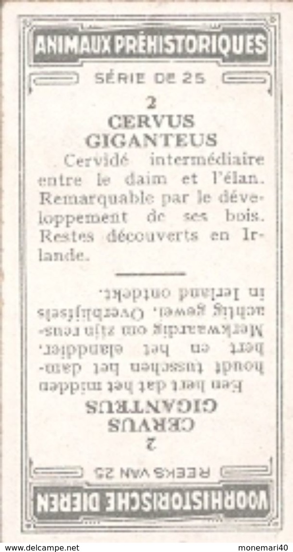 ANIMAUX PRÉHISTORIQUES - (Caramels Et Toffées DEMARET) - 25 Animaux. - Sonstige & Ohne Zuordnung