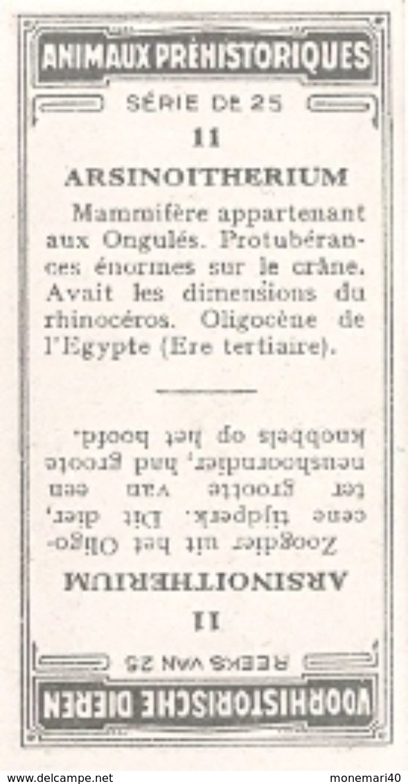 ANIMAUX PRÉHISTORIQUES - (Caramels et toffées DEMARET) - 25 animaux.