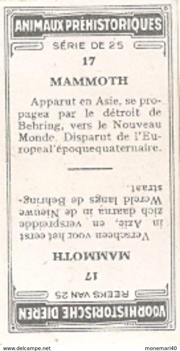 ANIMAUX PRÉHISTORIQUES - (Caramels et toffées DEMARET) - 25 animaux.