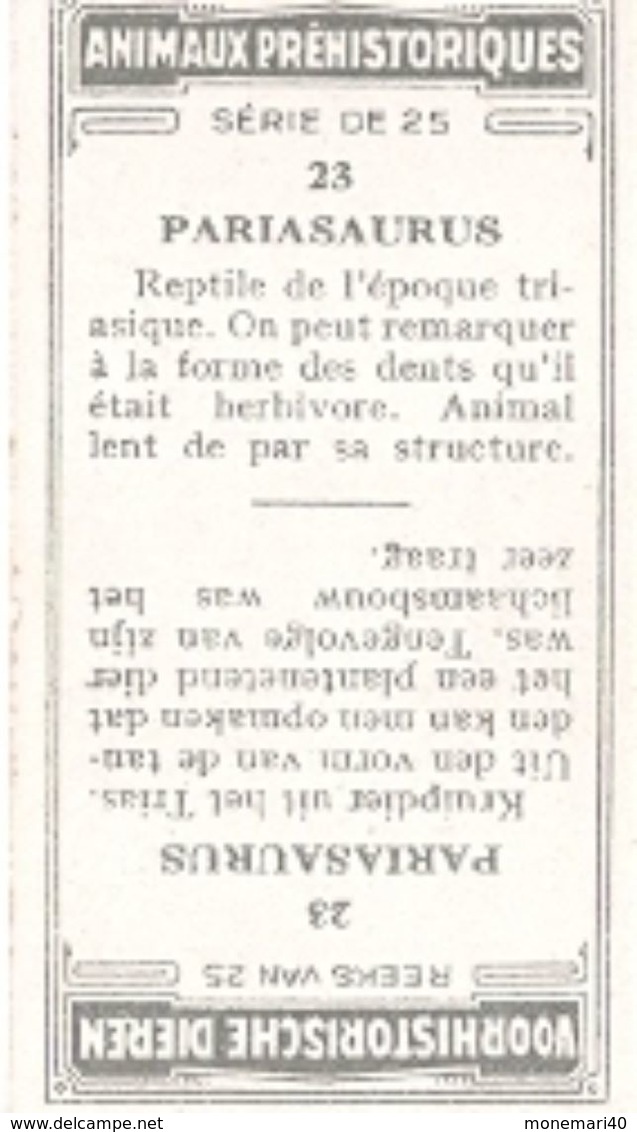 ANIMAUX PRÉHISTORIQUES - (Caramels et toffées DEMARET) - 25 animaux.