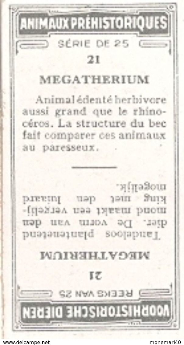 ANIMAUX PRÉHISTORIQUES - (Caramels et toffées DEMARET) - 25 animaux.