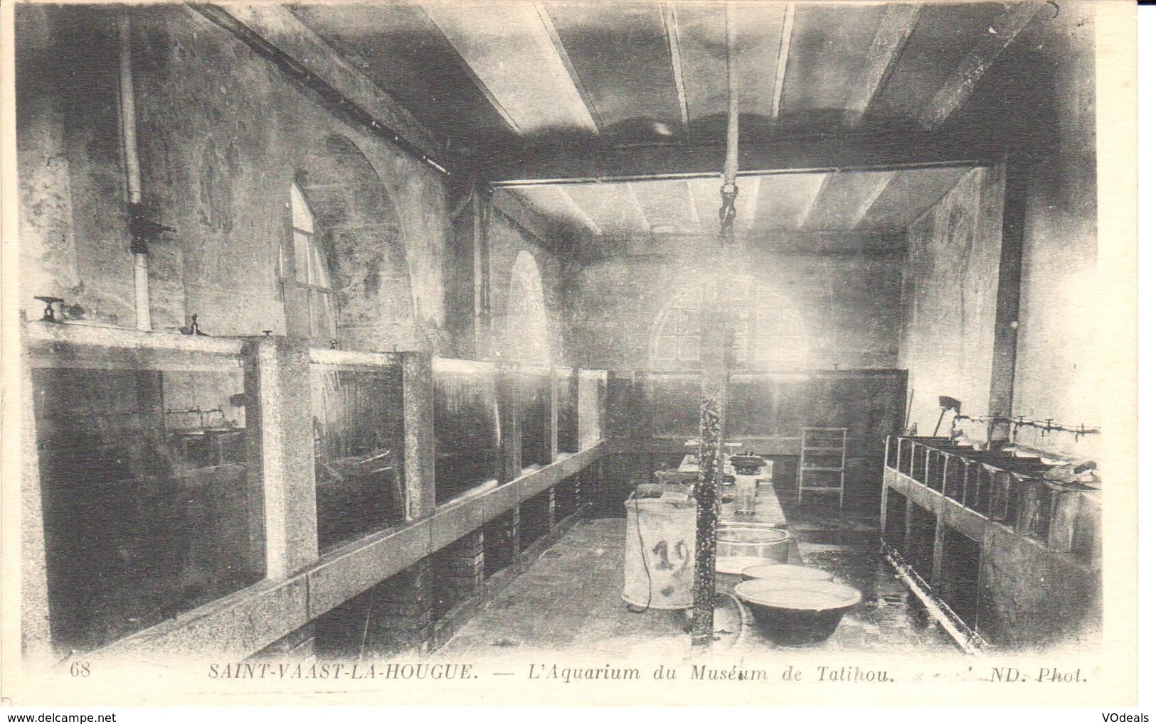 (50) Manche - CPA - Saint Vaast-la-Hougue - L'Aquarium Du Muséum De Tatihou - Saint Vaast La Hougue