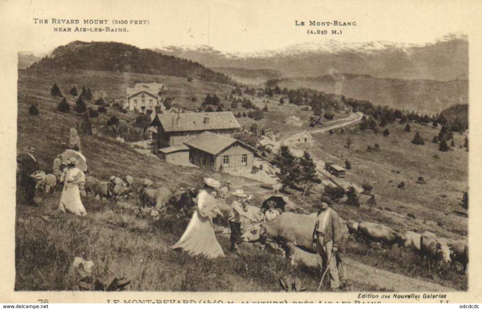 LE MONT REVARD  Près Aix Les Bains Ces Dames Avec Leurs Chapeaux Et Leurs Ombrelles Au Milieu Du Troupeau De Vaches - Aix Les Bains