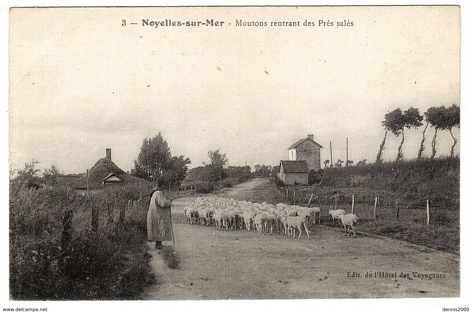 NOYELLES SUR MER (80) - Moutons Rentrant Des Prés Salés - Ed. De L'Hôtel Des Voyageurs - Noyelles-sur-Mer