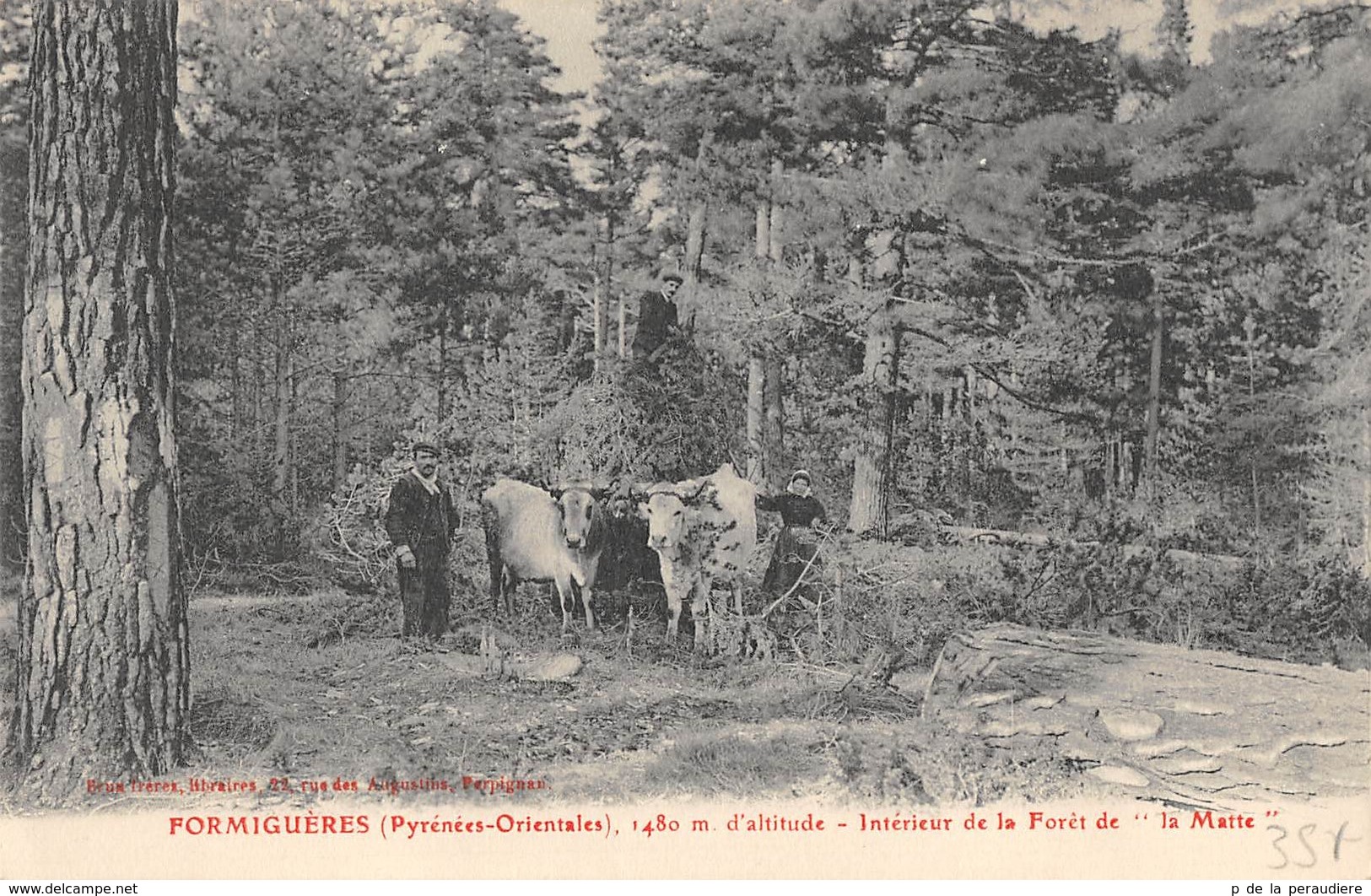 SUPERBE LOT D'ENVIRON 400 CPA DES VILLAGES DES PYRENEES ORIENTALES (jugez par vous meme!! avec gares diligence villages