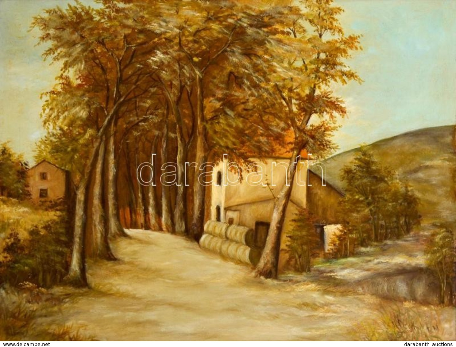 Balázs Mária (?-): Fasor. Olaj, Farost, Jelzett, Keretben, 60×80 Cm - Autres & Non Classés