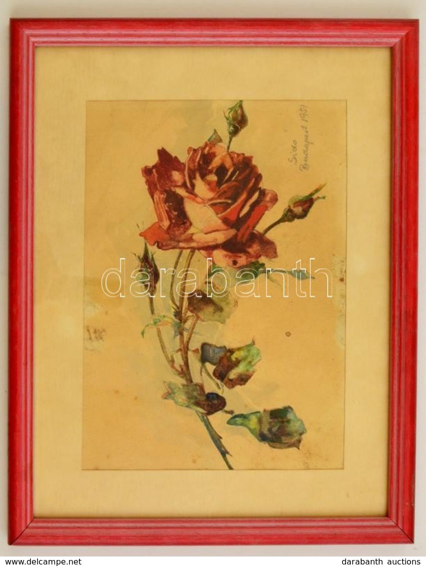 Sidó Géza (?-?): Rózsaszál. Akvarell, Papír, üvegezett Keretben, Foltos, 24×29 Cm - Autres & Non Classés