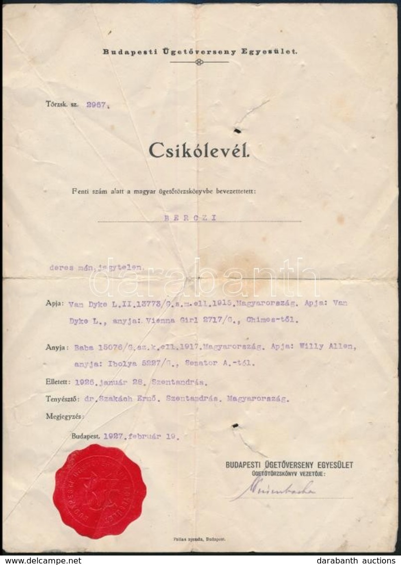 1927, 1943 Bp., Csikólevél és Versenyló Származási Bizonyítványa - Unclassified