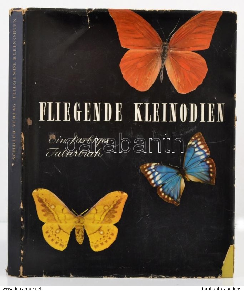 Fliegende Kleinodien. Ein Farbiges Falterbuch. Szerk.: J.E. Schuler. Stuttgart,1995, Schuler-Verlag. Német Nyelven. Kiad - Non Classés