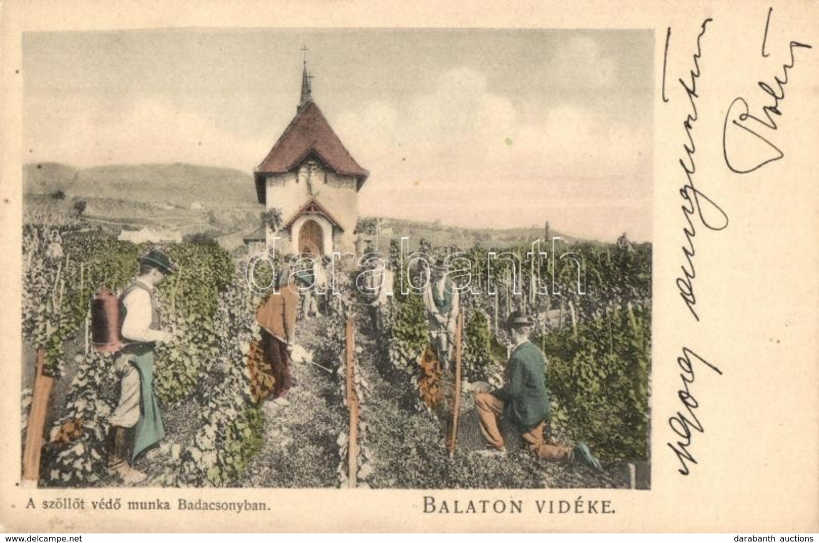 * T2 Balaton Vidéke, Sz?l?t Véd? Munka A Badacsonyban, Sz?l?telep. D. K. F., E. 891. - Zonder Classificatie