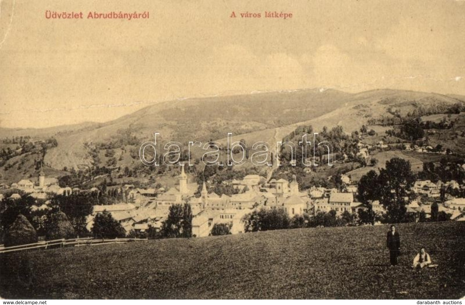 T3/T4 1917 Abrudbánya, Abrud; W.L. 3223. (fa) - Ohne Zuordnung