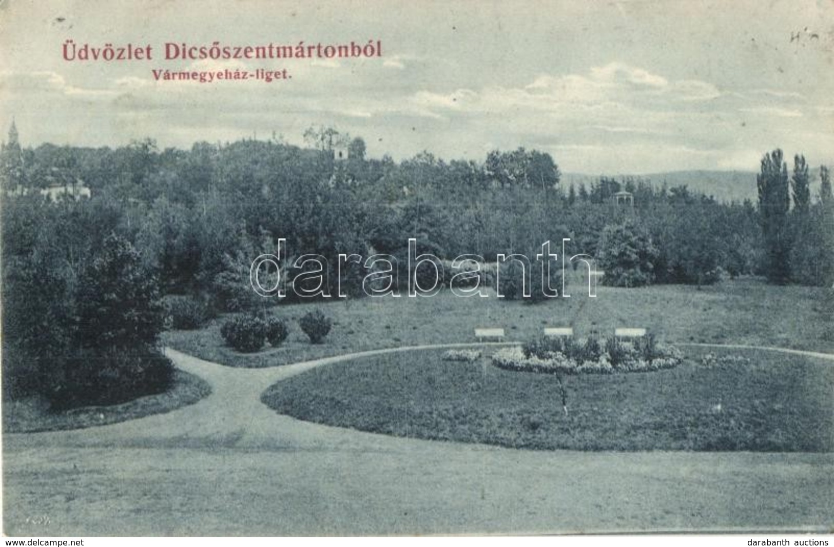 T2 1907 Dics?szentmárton, Tarnaveni, Diciosanmartin; Vármegyeház-liget / County Hall Park - Non Classés