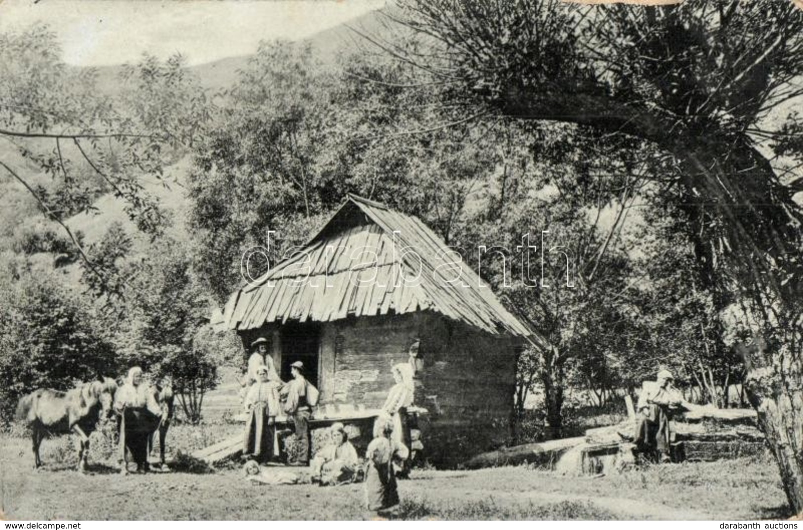 T2/T3 Lupény, Lupeni; Családi Csoportkép, Kunyhó, Folklór. Adler Fényirda / Family Group Picture, Hut, Folklore (EK) - Unclassified