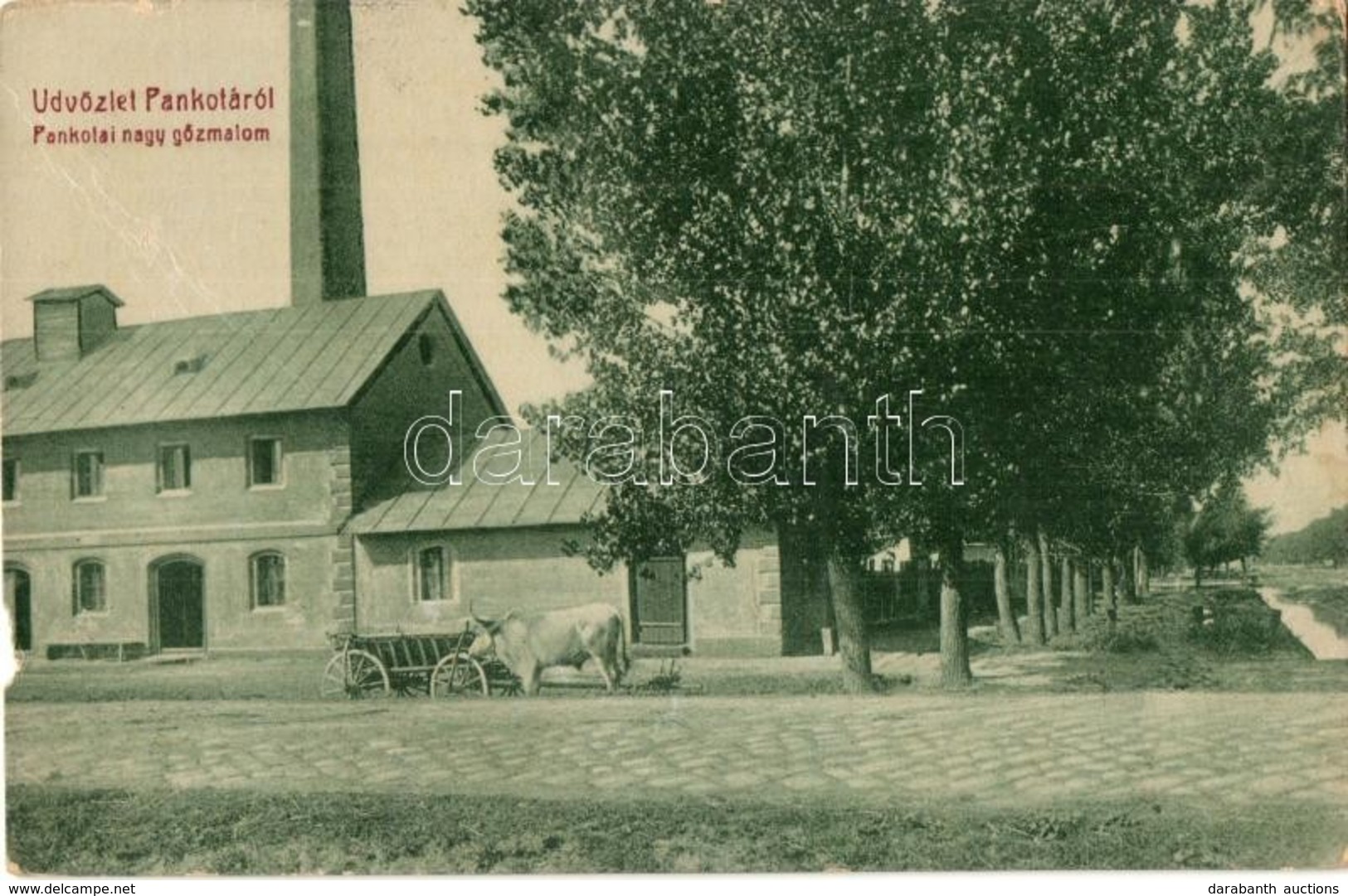 T3/T4 Pankota, Pancota; Nagy G?zmalom. W. L. Bp. 5428. / Steam Mill (b) - Ohne Zuordnung